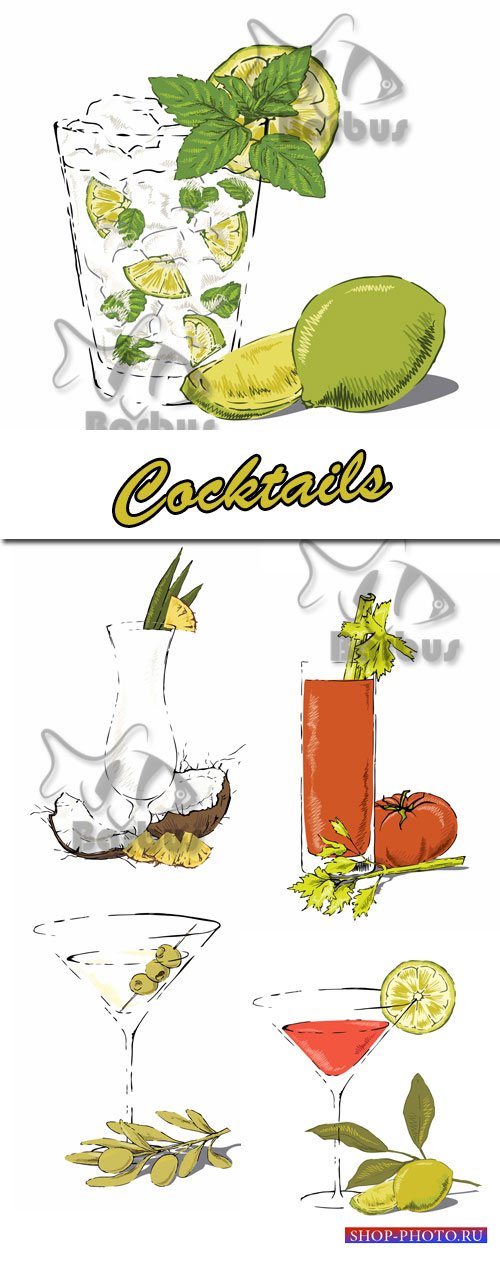 Cocktails / Коктейли - Vector stock