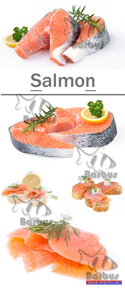 Salmon / Семга - photo stock