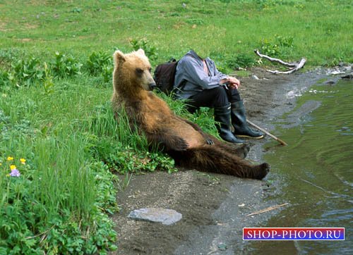 Мужской шаблон PSD - Путешествие с медведем