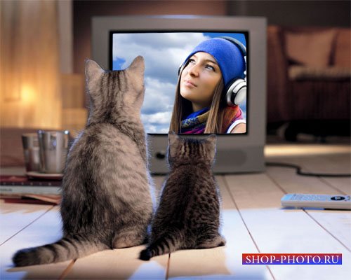  Рамка для фотошопа - Привлекательные два котика возле экрана 