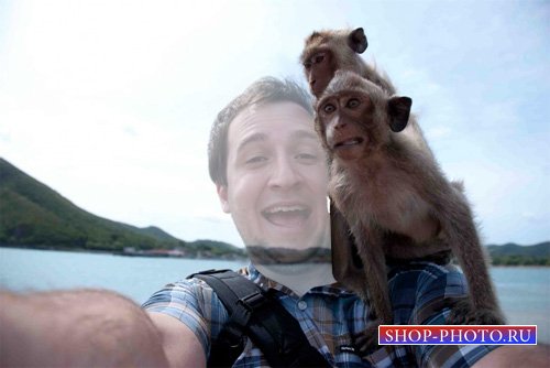  Шаблон для фотошопа - Смешное фото с обезьянами 