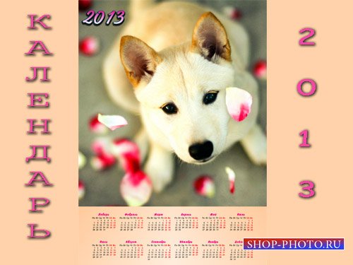  Календарь PSD - Хорошенький рыжик с лепестками роз 
