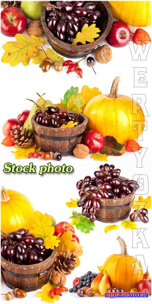 Осенний урожай, виноград, тыква, груши / Autumn harvest, grapes, pumpkins, pears - Raster clipart
