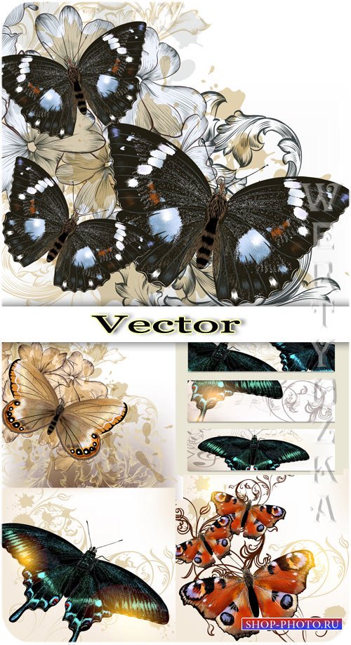 Бабочки и фоны с цветами / Butterflies and backgrounds with flowers - vector clipart