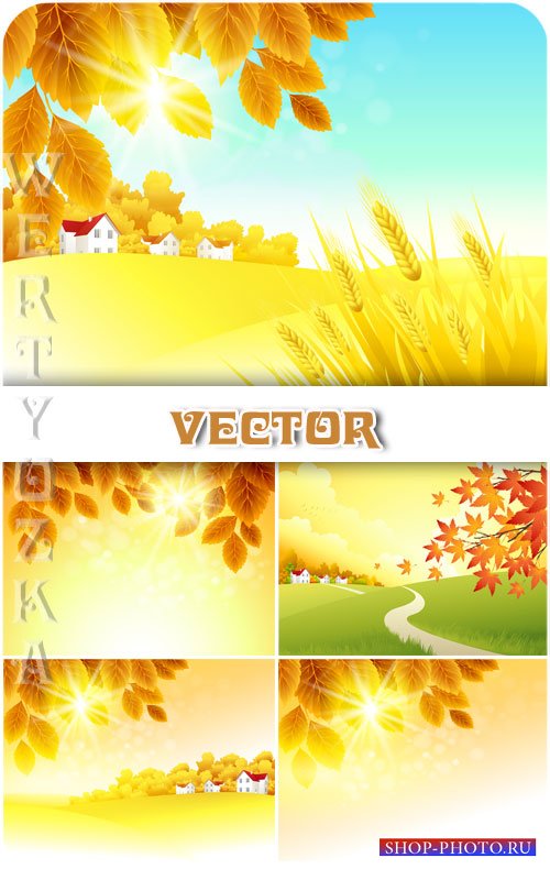 Осенние природные фоны, пейзаж / Autumn natural background, landscape - vector