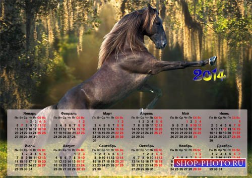  Календарь 2014 года - Роскошная лошадка 