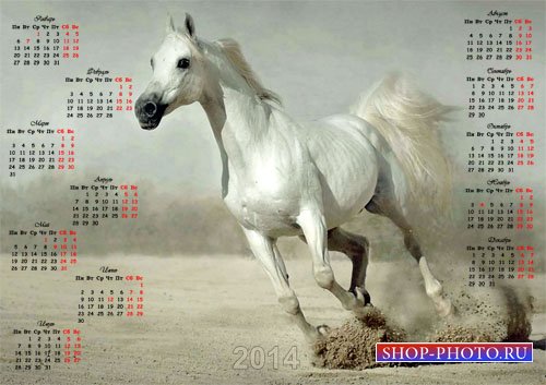  Красивый календарь - Белоснежный жеребец 