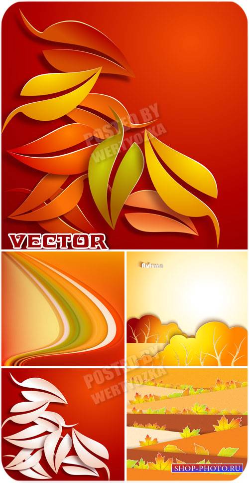 Осенние листья / Autumn leaves - vector stock