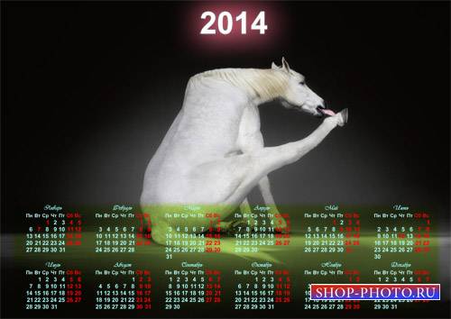  Календарь на 2014 год - Белая смешная лошадка 