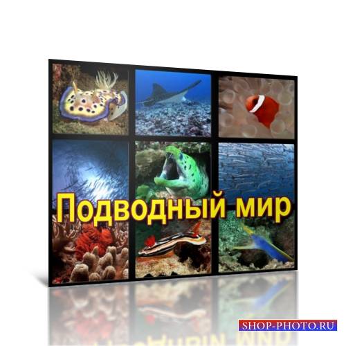 Сборник футажей Подводный мир AVI