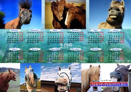  Красивый календарь - Смешные лошадки 