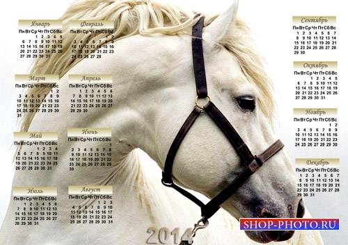  Календарь psd - Великолепная лошадь 