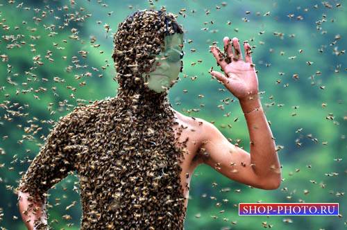  Шаблон для Photoshop - Весь в пчелах 