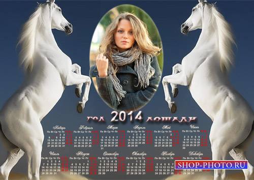  Календарь 2014 - Два игривых жеребца 