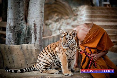  Шаблон мужской - Красивый тигр 