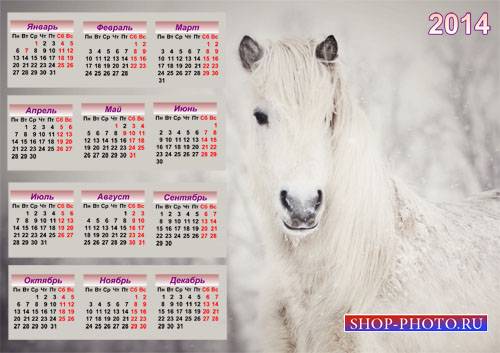  Красивый календарь - Прекрасная белоснежная лошадь 