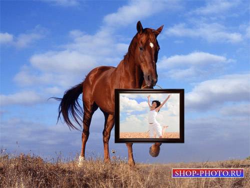 Рамка для фотомонтажа - Лошадь несет картину с вашим фото 