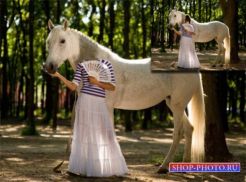  Шаблон для девушек - Фотосессия с красивой лошадкой в сквере 