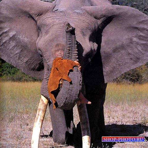  Шаблон для фотомонтажа - Поездка на слоне 