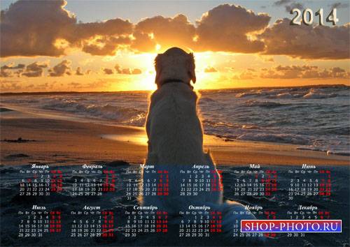  Настенный календарь - Собачка у воды любуется закатом 