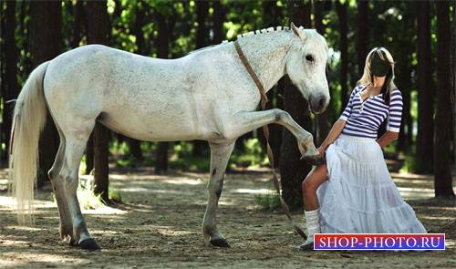  Шаблон для фото - Фото с белой лошадкой 