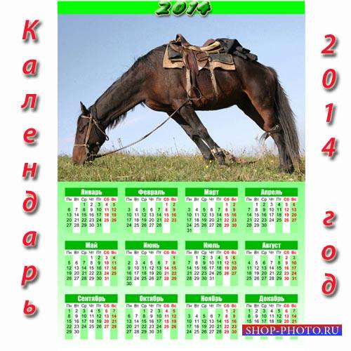  Календарь 2014 - Лошадь на отдыхе 