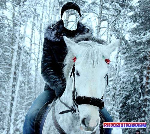  Шаблон psd - Фотосессия на коне в зимнем лесу 