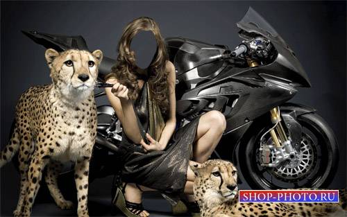  Шаблон psd женский - Фото с 2 гепардами у скоростного байка 
