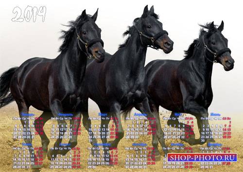  Календарь на 2014 год - Три красивых коня 
