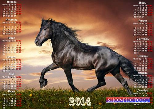  Красивый календарь - Бегущая галопом лошадь на закате 