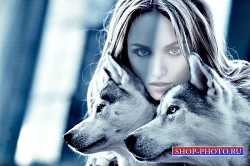  Женский шаблон - Фотосессия с двумя красивыми волками 