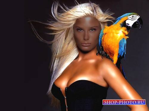  Шаблон psd женский - Фотосессия с большим попугаем 