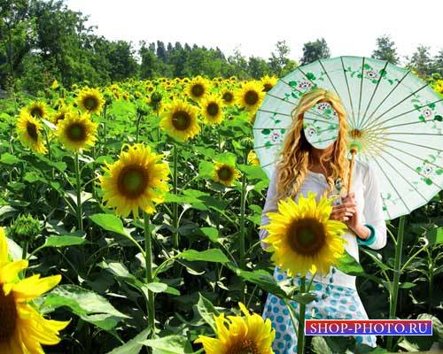  Шаблон для фото - Девушка в поле подсолнухов 