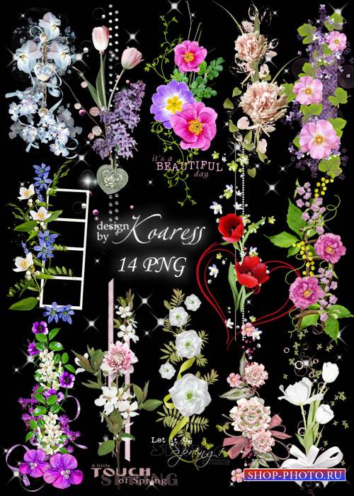 Набор цветочных png кластеров на прозрачном фоне - Цветочная феерия