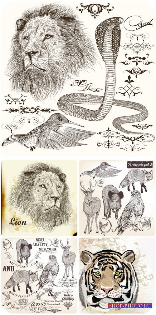 Животные, декоративные элементы в векторе / Animals, decorative elements vector