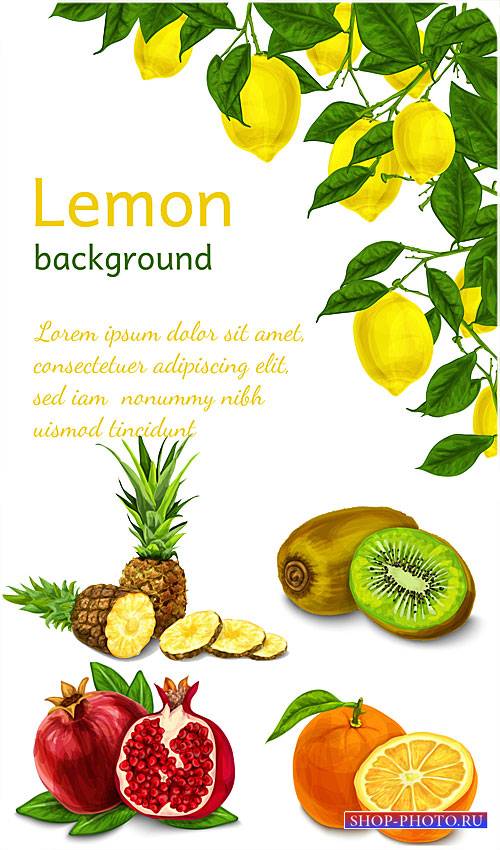 Лимон, киви, гранат и ананас в векторе / Lemon, kiwi, pomegranate and pineapple vector