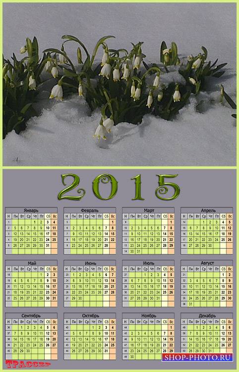 Календарь на 2015 год - Символ надежды, хрупкий подснежник
