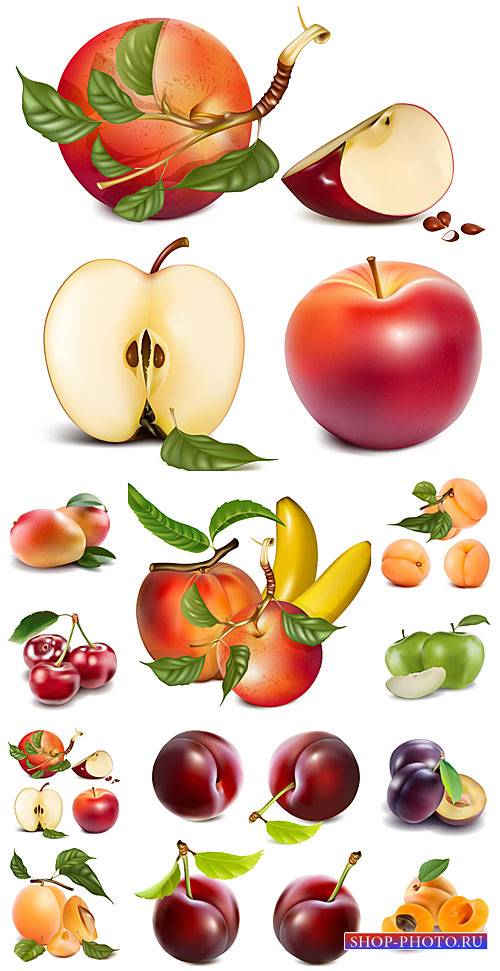 Фрукты и ягоды в векторе, груша, слива, яблоко / Fruits and berries vector, pear, plum, apple