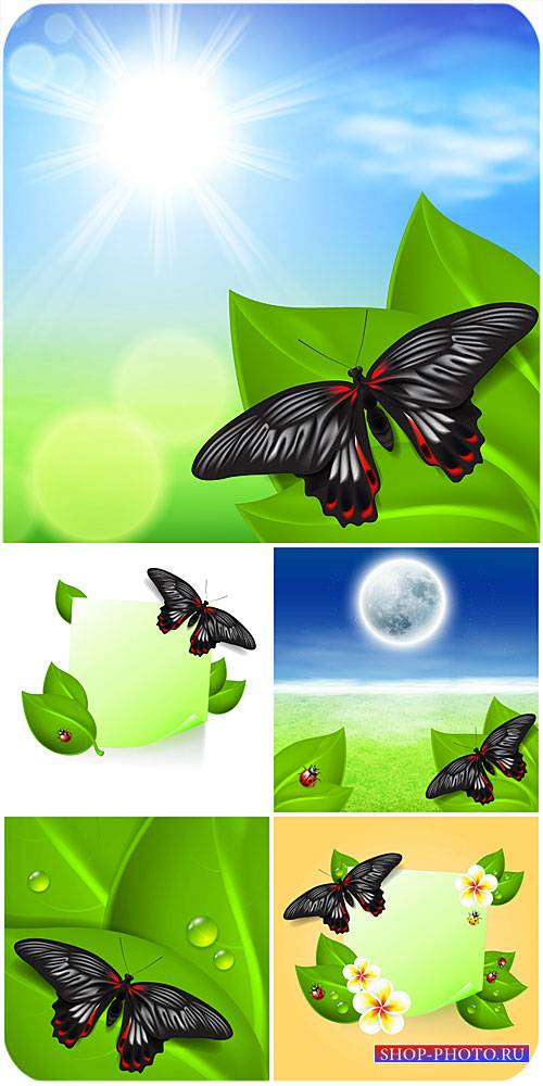 Природные векторные фоны с бабочками / Natural vector backgrounds with butterflies