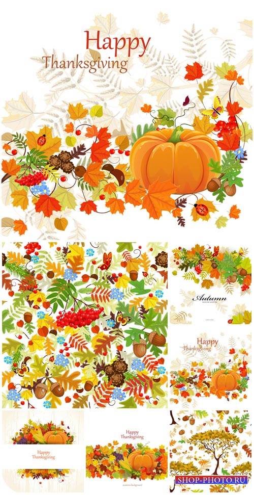 Осенние векторные фоны с тыквой, листьями и рябиной / Autumn vector background