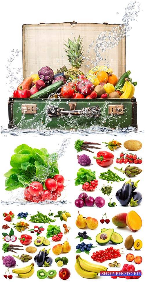 Фрукты, овощи, экзотические фрукты / Fruits, vegetables, exotic fruits - Stock photo