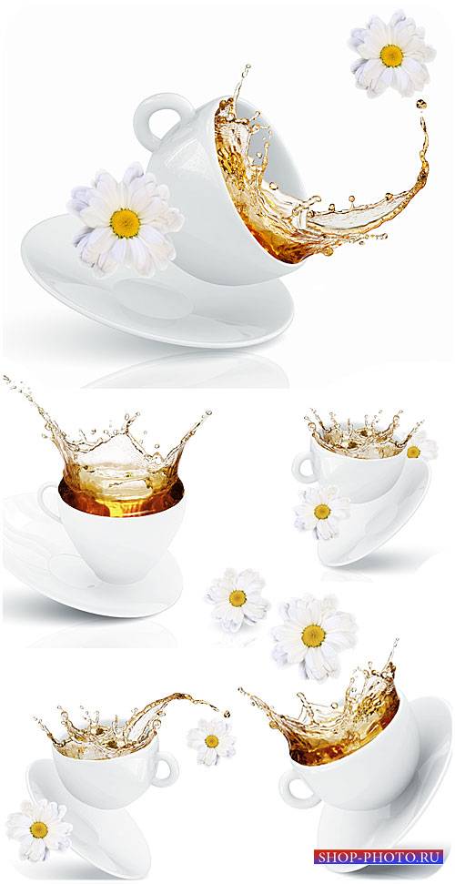 Чашка с чаем и белые ромашки / Cup with tea and white daisies - Stock photo