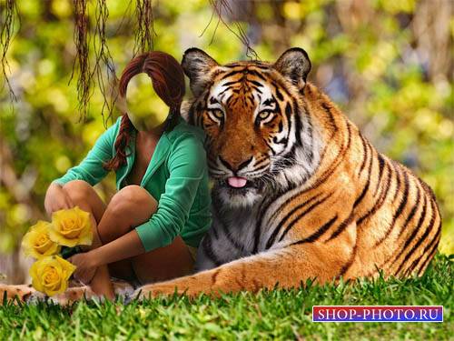  Шаблон для фотомонтажа - С тигром и цветами на поляне 