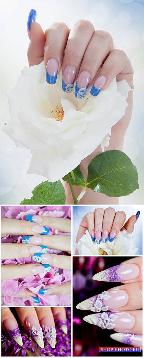 Красивый маникюр, женские руки, розы / Beautiful manicured, female hands, roses - Stock Photo