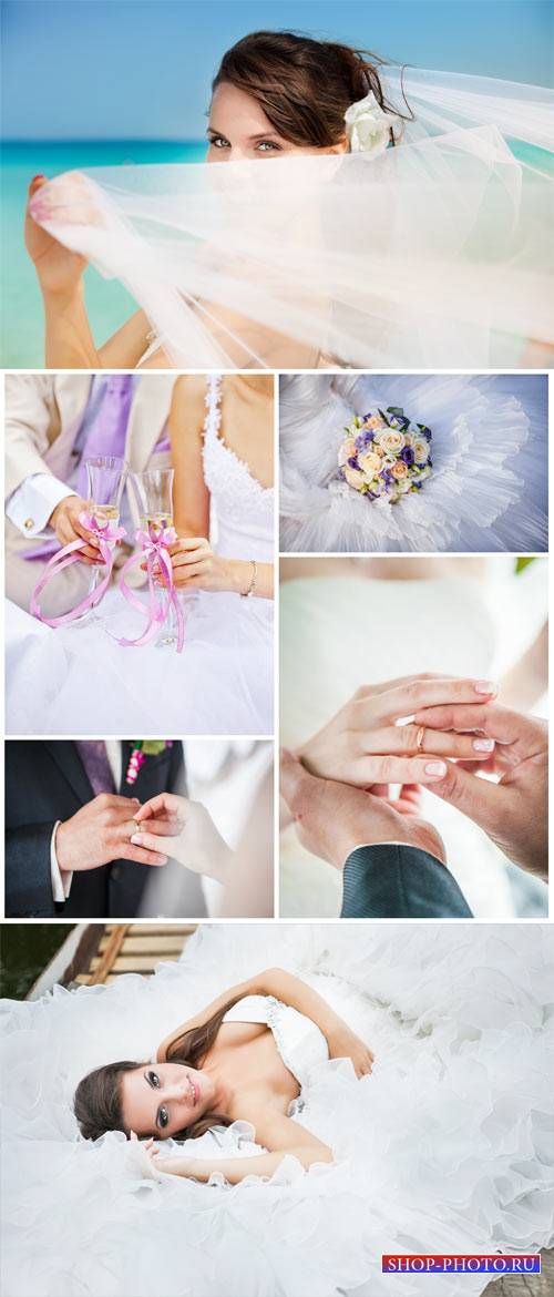 Свадебный коллаж, жених и невеста, бракосочетание / Wedding collage - Stock photo