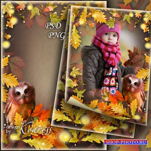 Детская фоторамка с осенней листвой, цветами и симпатичным филином - Загадки осеннего леса