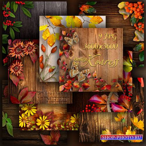 Осенние деревянные фоны для дизайна с цветами, ягодами, листьями на деревянном фоне