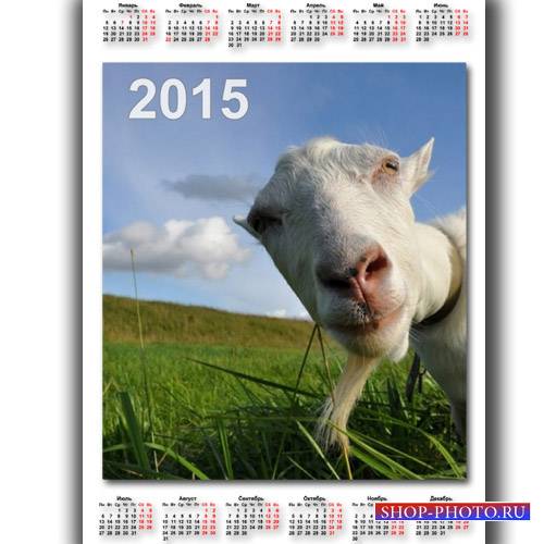  Календарь 2015 - Задумчивая коза 