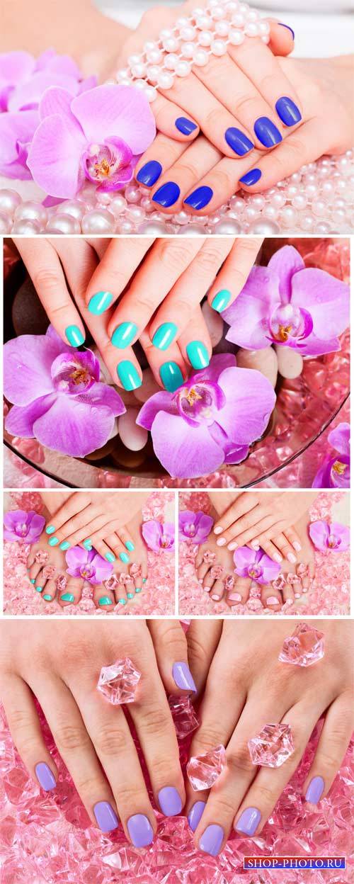 Manicure and pedicure, female hands # 2 - Stock Photo