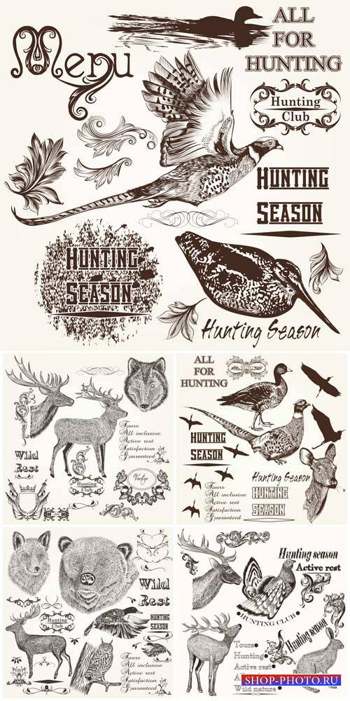 Animals and birds in vector, design decorative elements